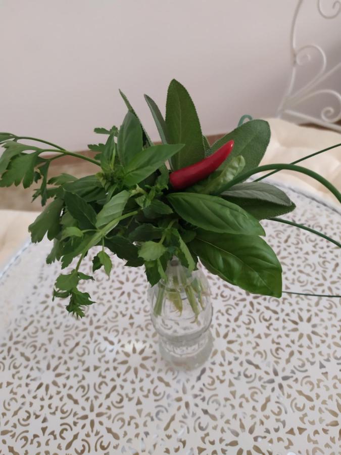 레체 Casina Nel Salento 아파트 외부 사진